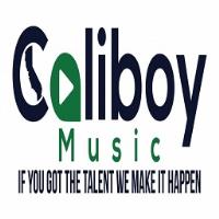 Caliboy Music image 1
